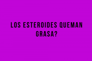 los esteroides queman grasa