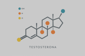 cuanto tarda la testosterona en hacer efecto