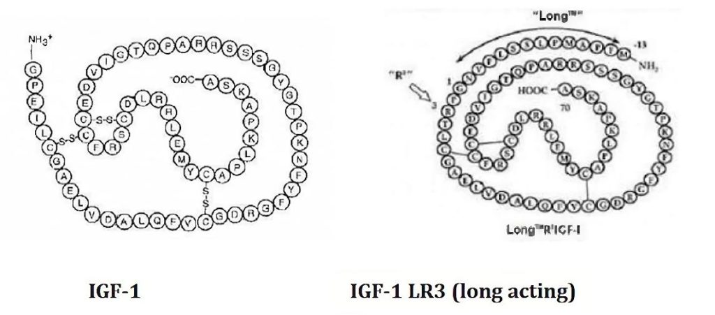 Envase de IGF-1 LR3 - Péptido de Driada Medical para crecimiento muscular