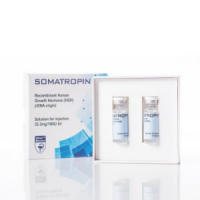 Somatropin (Hormona de Crecimiento Humano) Hilma Biocare 100 UI – líquido