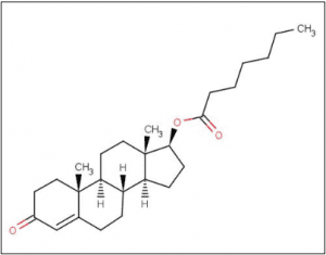 ester enantato de testosterona