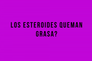 los esteroides queman grasa