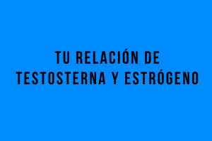 testosterona y estrogeno