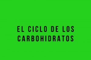 carbohidratos