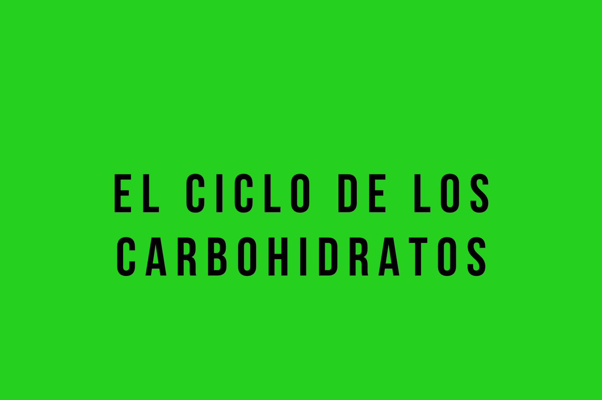 carbohidratos