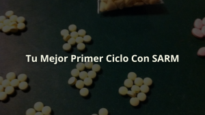 primer ciclo sarm