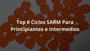 ciclos sarm