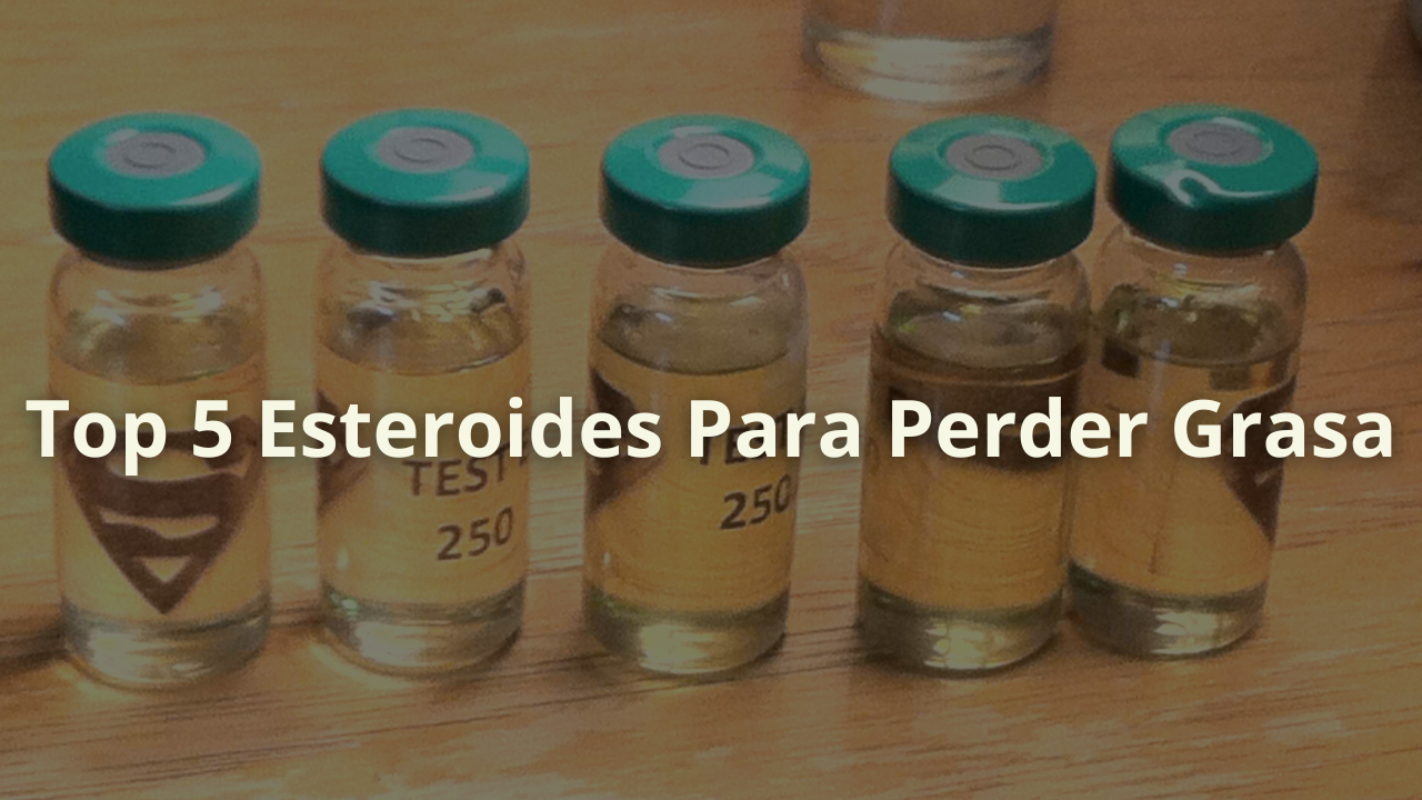 esteroides perder grasa